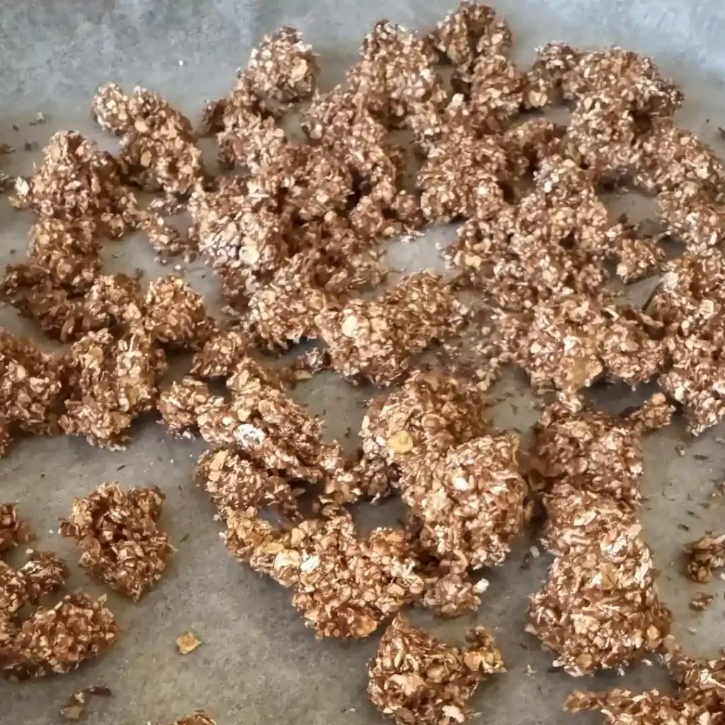 Selbstgemachtes Granola als gesunden Snack