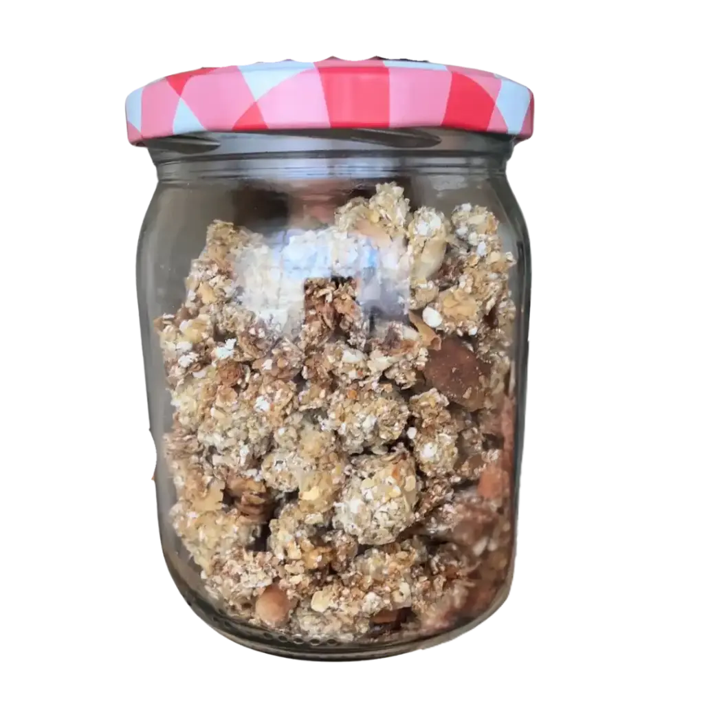 Selbstgemachtes Kokosgranola