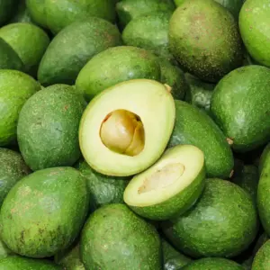Avocado Rezepte